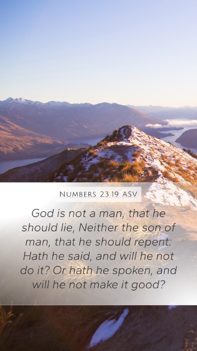 Numbers 23:19 ASV Bible Verse Image