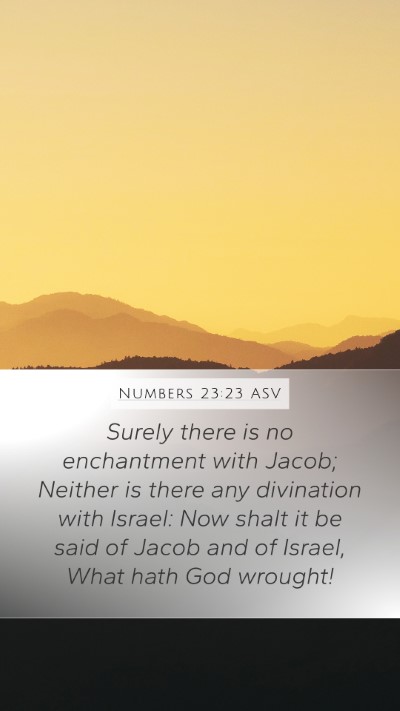 Numbers 23:23 ASV Bible Verse Image