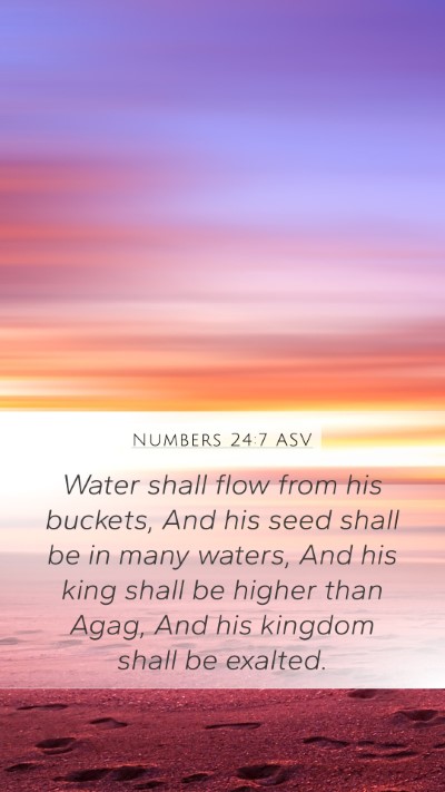 Numbers 24:7 ASV Mobile Phone Wallpaper - Water shall flow from his buckets, And his seed - Mobile Bible Verse Wallpaper