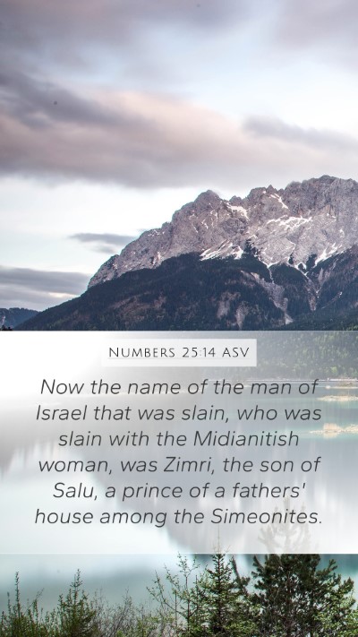 Numbers 25:14 ASV Bible Verse Image