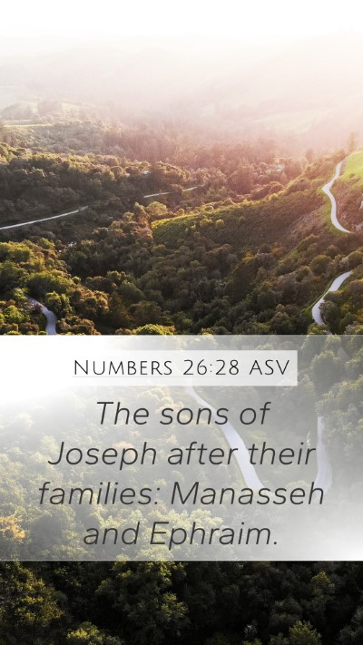 Numbers 26:28 ASV Bible Verse Image