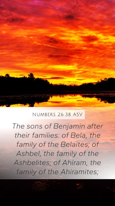 Numbers 26:38 ASV Mobile Phone Wallpaper - The sons of Benjamin after their families: of - Mobile Bible Verse Wallpaper