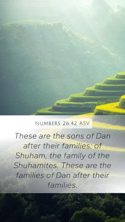Numbers 26:42 ASV Bible Verse Image