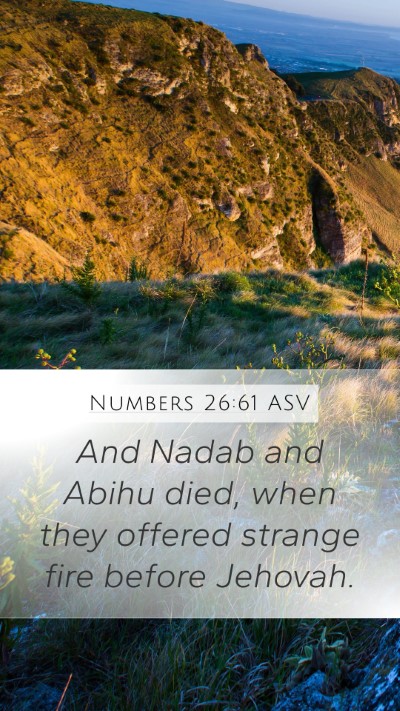 Numbers 26:61 ASV Bible Verse Image