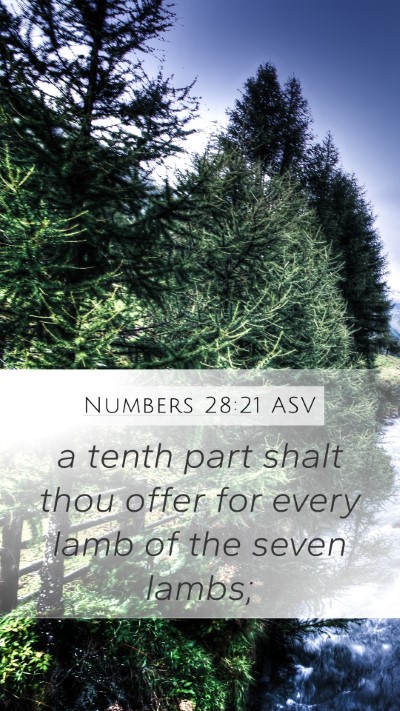 Numbers 28:21 ASV Mobile Phone Wallpaper - a tenth part shalt thou offer for every lamb of - Mobile Bible Verse Wallpaper