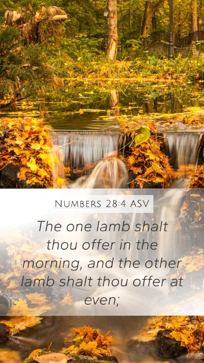 Numbers 28:4 ASV Mobile Phone Wallpaper - The one lamb shalt thou offer in the morning, and - Mobile Bible Verse Wallpaper