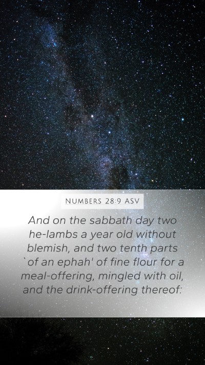 Numbers 28:9 ASV Mobile Phone Wallpaper - And on the sabbath day two he-lambs a year old - Mobile Bible Verse Wallpaper
