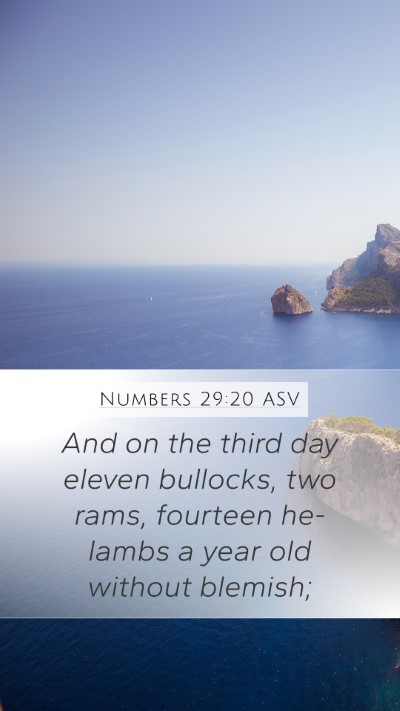 Numbers 29:20 ASV Mobile Phone Wallpaper - And on the third day eleven bullocks, two rams, - Mobile Bible Verse Wallpaper