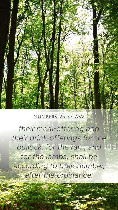 Numbers 29:37 ASV Mobile Phone Wallpaper - their meal-offering and their drink-offerings for - Mobile Bible Verse Wallpaper