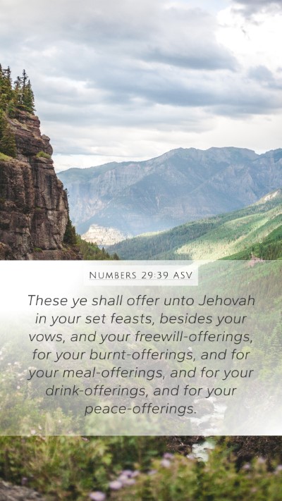 Numbers 29:39 ASV Bible Verse Image