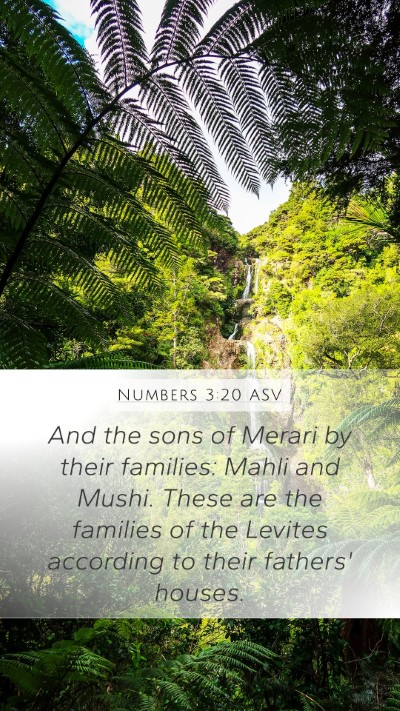 Numbers 3:20 ASV Bible Verse Image