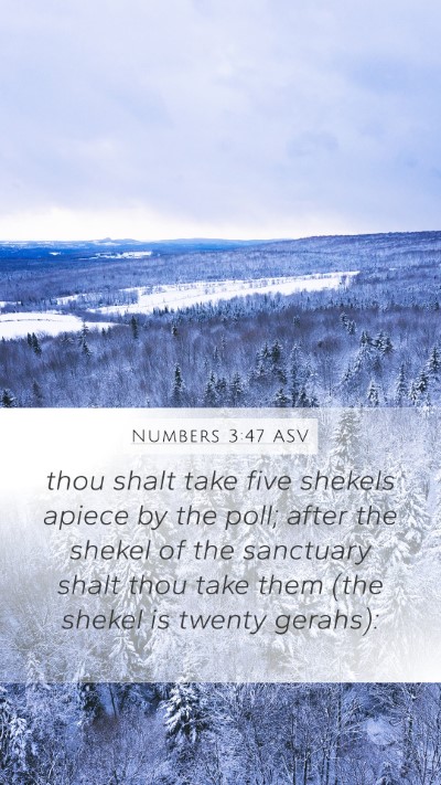 Numbers 3:47 ASV Mobile Phone Wallpaper - thou shalt take five shekels apiece by the poll; - Mobile Bible Verse Wallpaper