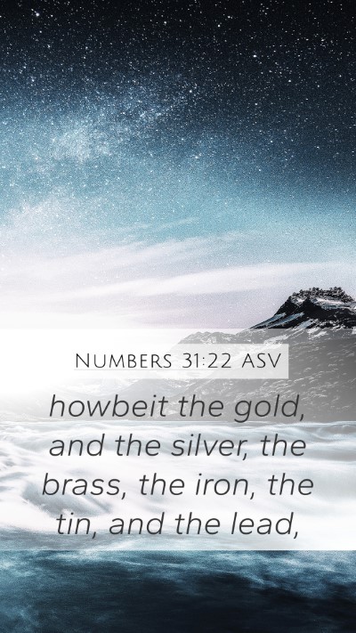 Numbers 31:22 ASV Bible Verse Image