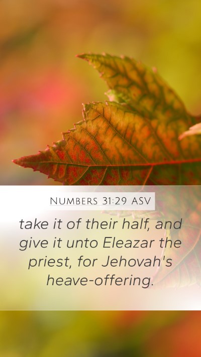 Numbers 31:29 ASV Bible Verse Image