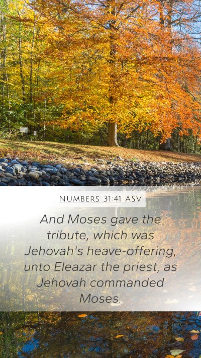 Numbers 31:41 ASV Bible Verse Image