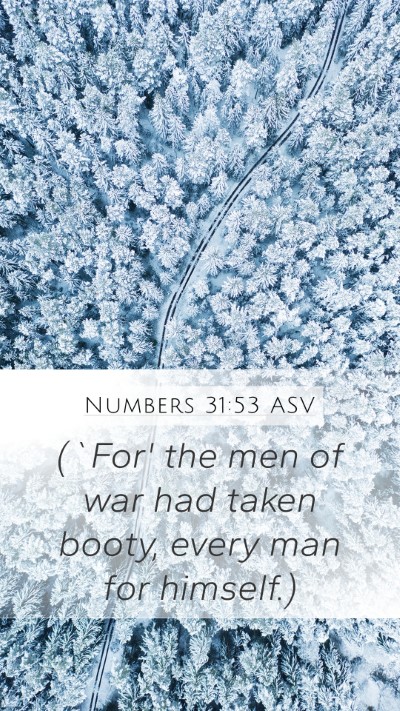 Numbers 31:53 ASV Mobile Phone Wallpaper - (`For' the men of war had taken booty, every man - Mobile Bible Verse Wallpaper