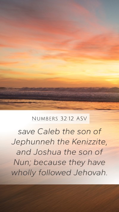 Numbers 32:12 ASV Bible Verse Image