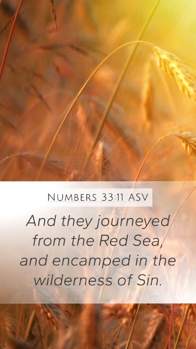 Numbers 33:11 ASV Mobile Phone Wallpaper - And they journeyed from the Red Sea, and encamped - Mobile Bible Verse Wallpaper