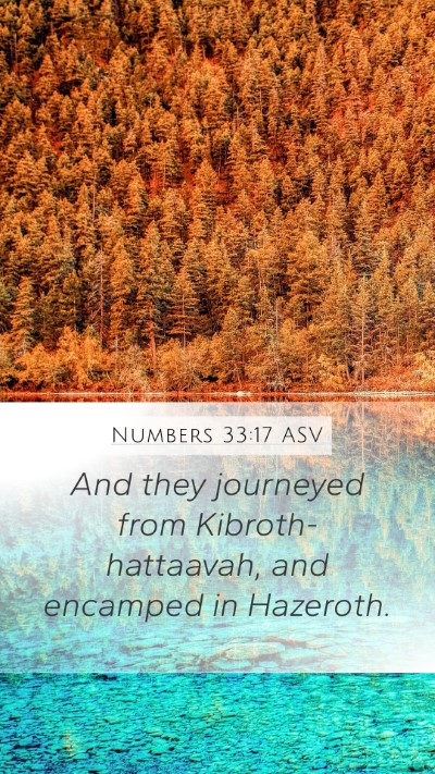 Numbers 33:17 ASV Bible Verse Image