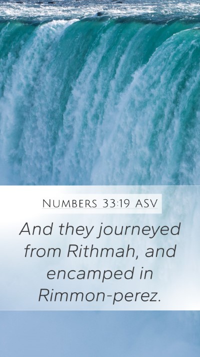 Numbers 33:19 ASV Bible Verse Image