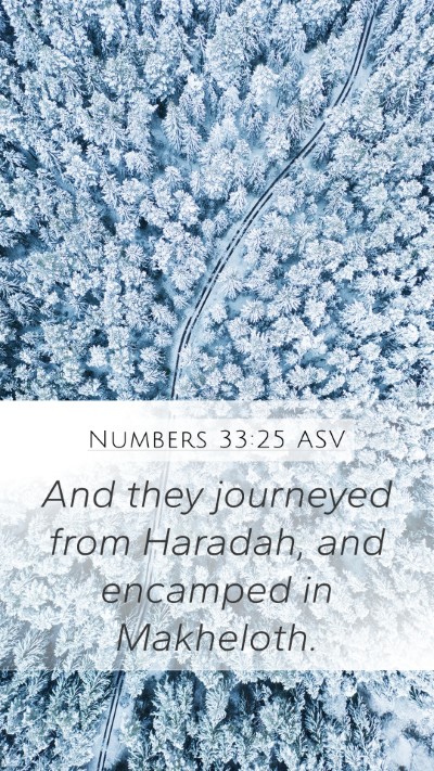 Numbers 33:25 ASV Mobile Phone Wallpaper - And they journeyed from Haradah, and encamped in - Mobile Bible Verse Wallpaper