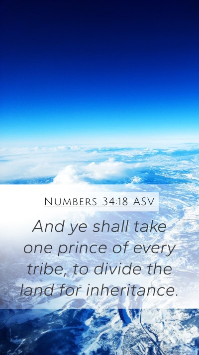 Numbers 34:18 ASV Mobile Phone Wallpaper - And ye shall take one prince of every tribe, to - Mobile Bible Verse Wallpaper