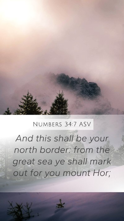 Numbers 34:7 ASV Mobile Phone Wallpaper - And this shall be your north border: from the - Mobile Bible Verse Wallpaper