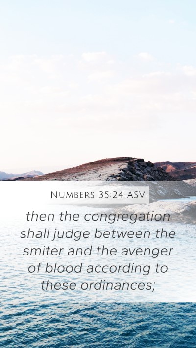 Numbers 35:24 ASV Bible Verse Image