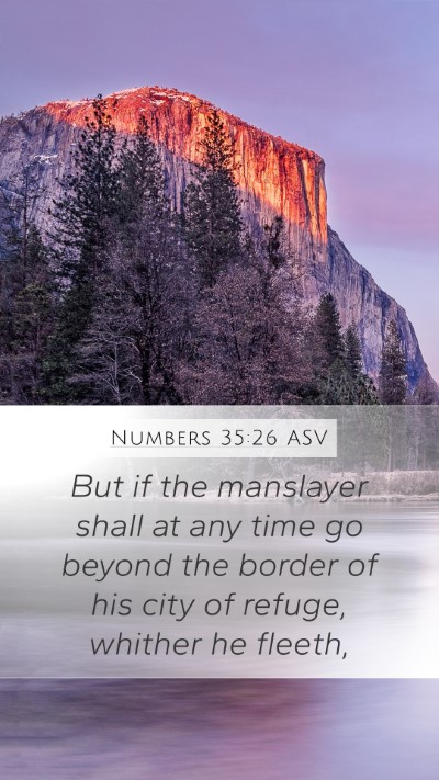 Numbers 35:26 ASV Mobile Phone Wallpaper - But if the manslayer shall at any time go beyond - Mobile Bible Verse Wallpaper