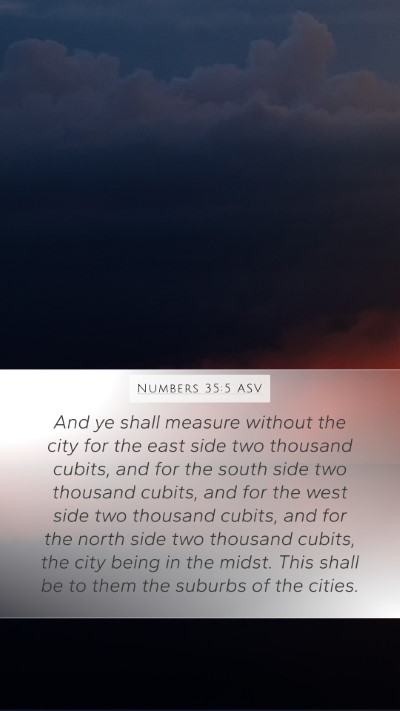 Numbers 35:5 ASV Mobile Phone Wallpaper - And ye shall measure without the city for the - Mobile Bible Verse Wallpaper