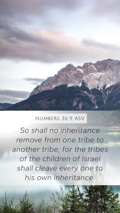 Numbers 36:9 ASV Bible Verse Image