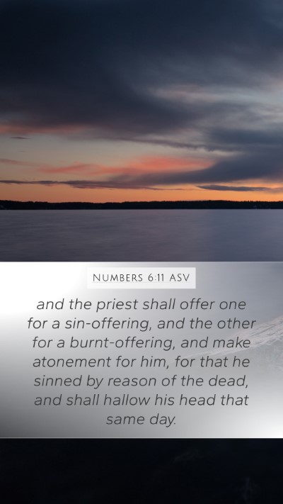 Numbers 6:11 ASV Mobile Phone Wallpaper - and the priest shall offer one for a - Mobile Bible Verse Wallpaper