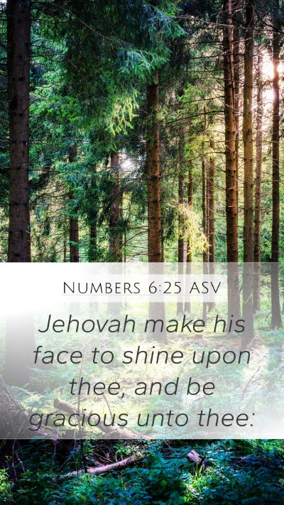 Numbers 6:25 ASV Mobile Phone Wallpaper - Jehovah make his face to shine upon thee, and be - Mobile Bible Verse Wallpaper