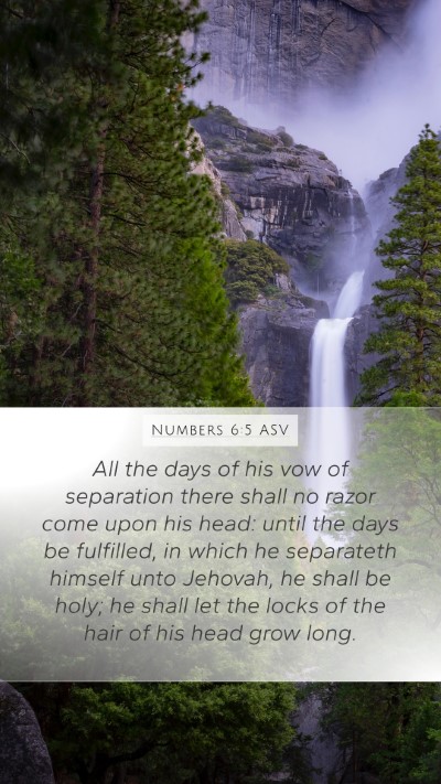 Numbers 6:5 ASV Bible Verse Image