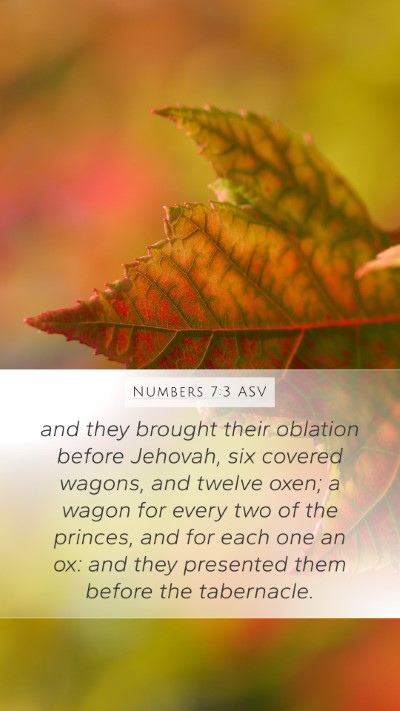 Numbers 7:3 ASV Mobile Phone Wallpaper - and they brought their oblation before Jehovah, - Mobile Bible Verse Wallpaper