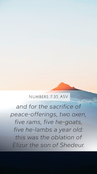 Numbers 7:35 ASV Bible Verse Image