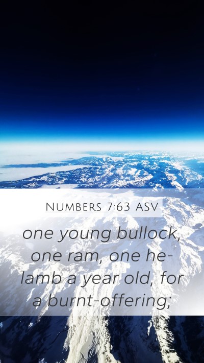 Numbers 7:63 ASV Mobile Phone Wallpaper - one young bullock, one ram, one he-lamb a year - Mobile Bible Verse Wallpaper