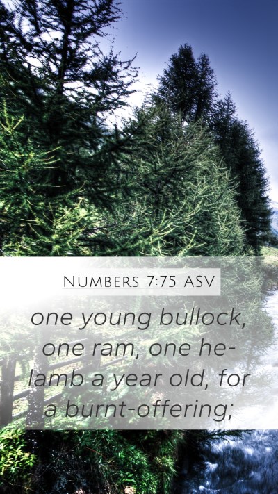 Numbers 7:75 ASV Mobile Phone Wallpaper - one young bullock, one ram, one he-lamb a year - Mobile Bible Verse Wallpaper