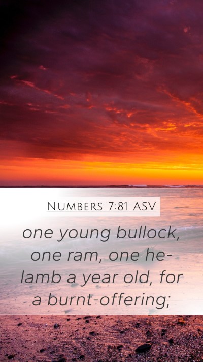Numbers 7:81 ASV Mobile Phone Wallpaper - one young bullock, one ram, one he-lamb a year - Mobile Bible Verse Wallpaper