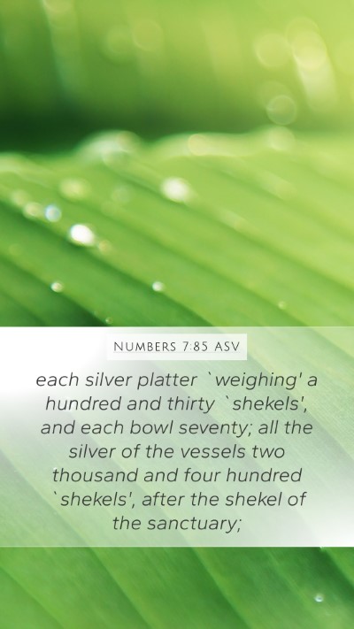 Numbers 7:85 ASV Mobile Phone Wallpaper - each silver platter `weighing' a hundred and - Mobile Bible Verse Wallpaper