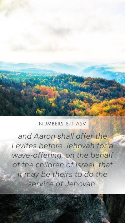 Numbers 8:11 ASV Bible Verse Image