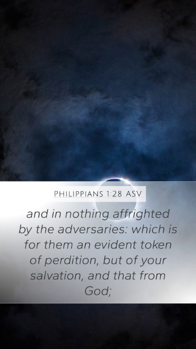 Philippians 1:28 ASV Bible Verse Image