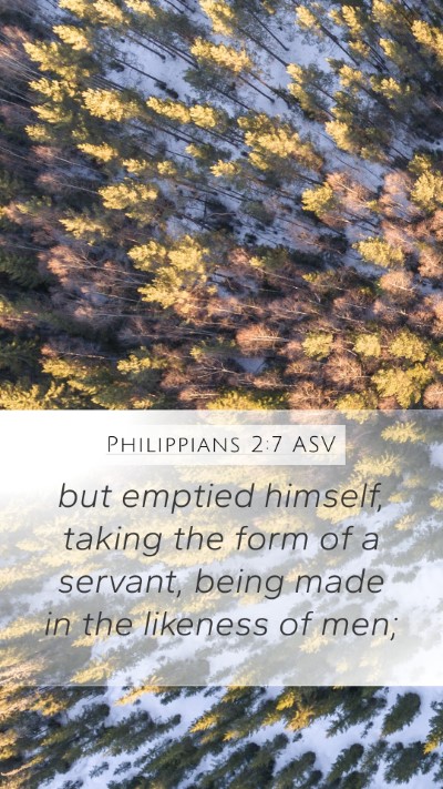 Philippians 2:7 ASV Bible Verse Image