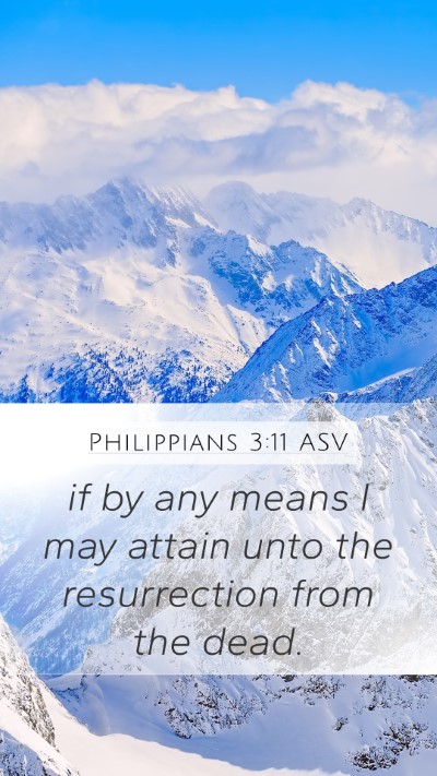 Philippians 3:11 ASV Bible Verse Image