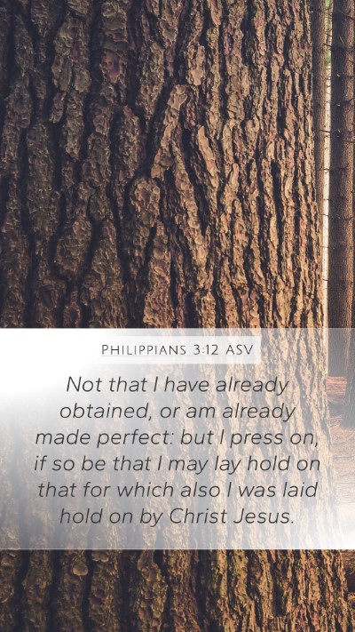 Philippians 3:12 ASV Bible Verse Image