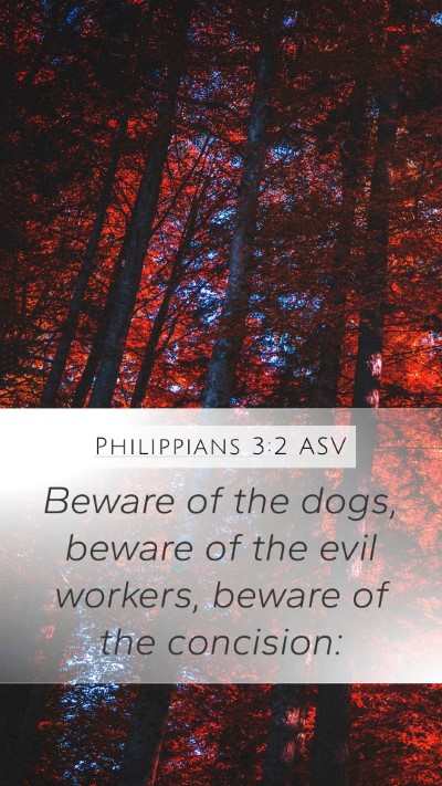 Philippians 3:2 ASV Mobile Phone Wallpaper - Beware of the dogs, beware of the evil workers, - Mobile Bible Verse Wallpaper