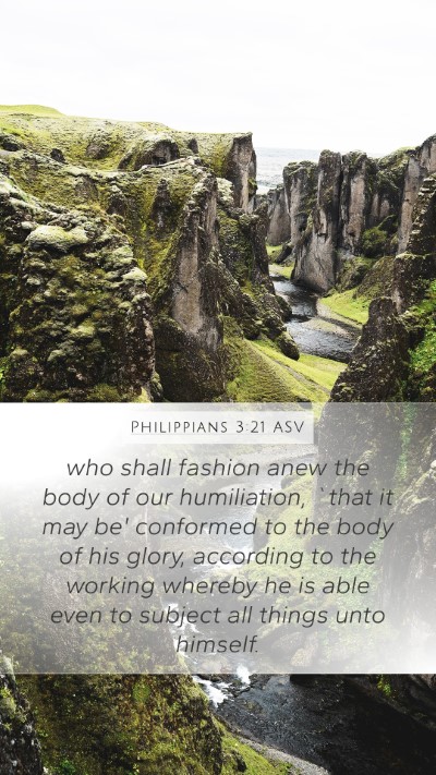 Philippians 3:21 ASV Bible Verse Image