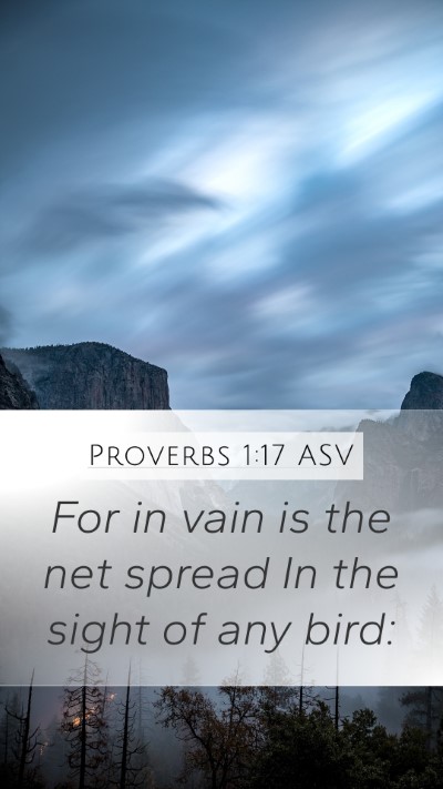 Proverbs 1:17 ASV Bible Verse Image