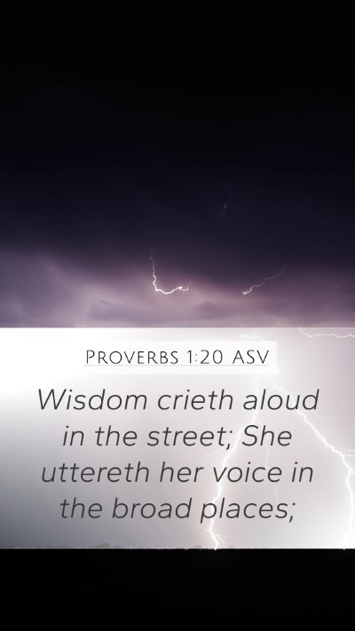 Proverbs 1:20 ASV Bible Verse Image