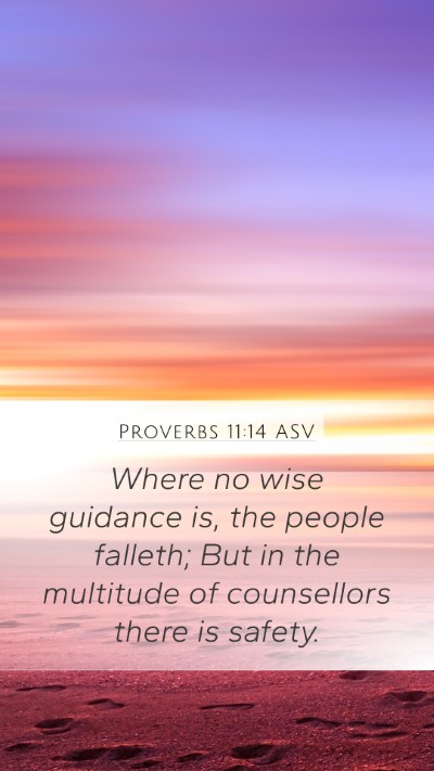 Proverbs 11:14 ASV Bible Verse Image
